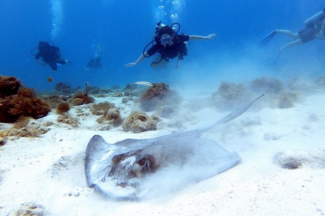 Discover Scubadiving on Aruba'S Reef - Cancellation Policy