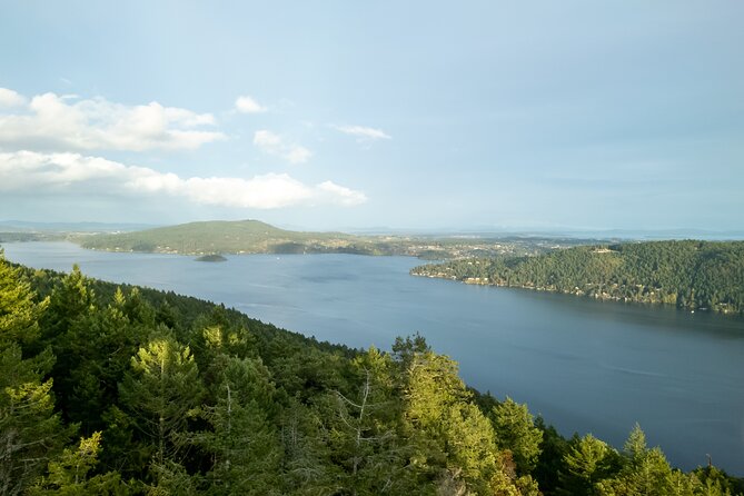 Discover Vancouver Island & Malahat SkyWalk & Cidery Tour - Malahat SkyWalk Experience