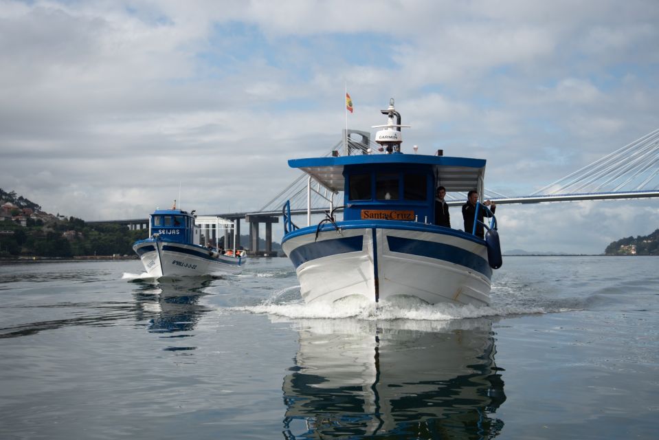 Discovering Vigo and Mussels in the Traditional Boat - Mussel Farming Process Revealed