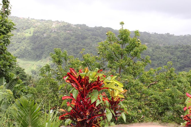 Discovery Day 4x4 Ride - Northern Circuit of Martinique - Traversing the Terrain