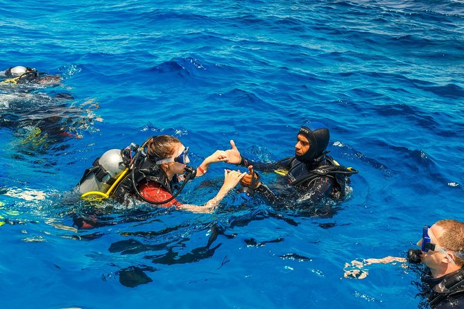 Diving in the Mediterranean Sea - Diving Amid Coral and Fish