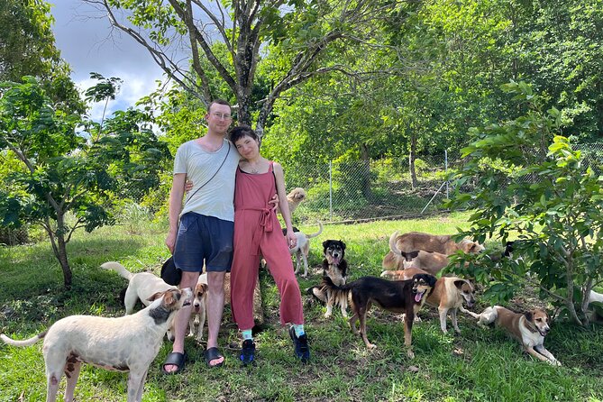 Dog Lovers Guided Tour of the Happy Tails Sanctuary - Meeting Point Information