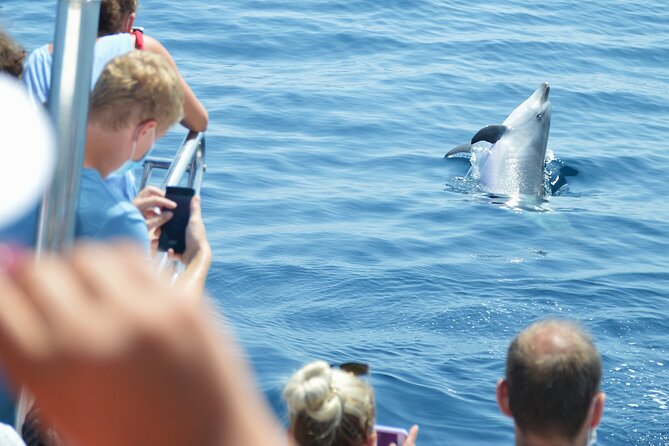 Dolphin Sightseeing Boat Tour From Benalmadena - Meeting and Pickup Details