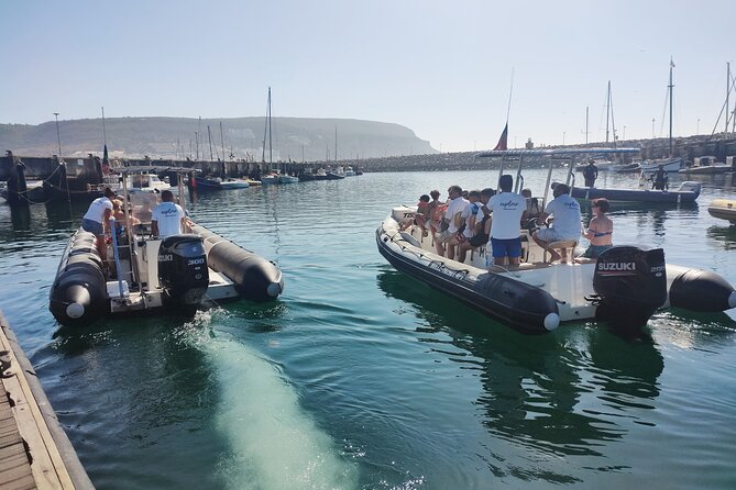 Dolphin Watching and Boat Tour in Sesimbra - Additional Tour Information