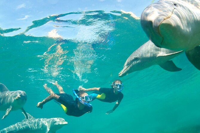 Dolphin Watching and Snorkeling Activity in Muscat - Inclusions and Amenities