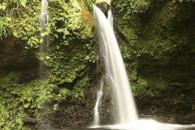 .Dominica Full Day Tour -6 Waterfalls in 1 Day and Rainforest - Exploring 6 Waterfalls