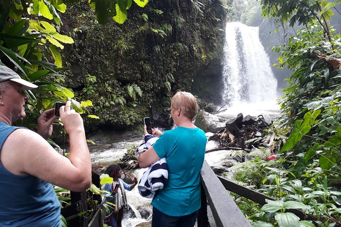 Dominica Half-Day Tour: Mero Beach, Waterfalls, Mineral Bath Wotten Waven - Booking and Cancellation Policies