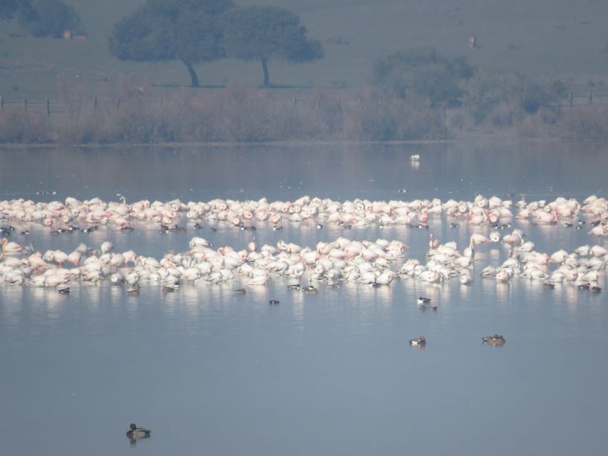 Doñana National Park: 2-Day Tour From Seville - Inclusions and Exclusions