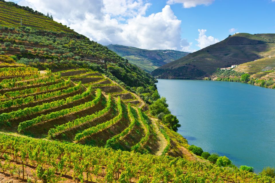 Douro Valley Delights: Wine Tasting and Scenic Vistas - Embarking on the Enchanting Journey