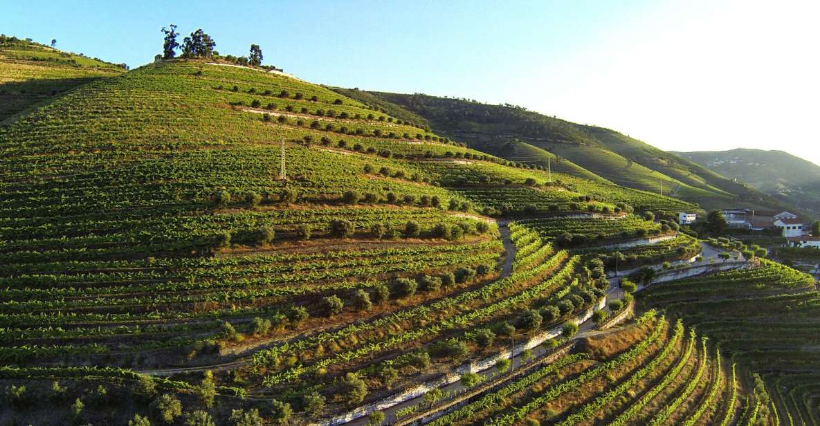 Douro Valley: Quinta De S. Luiz Winery Tour and Tasting - Winery Features