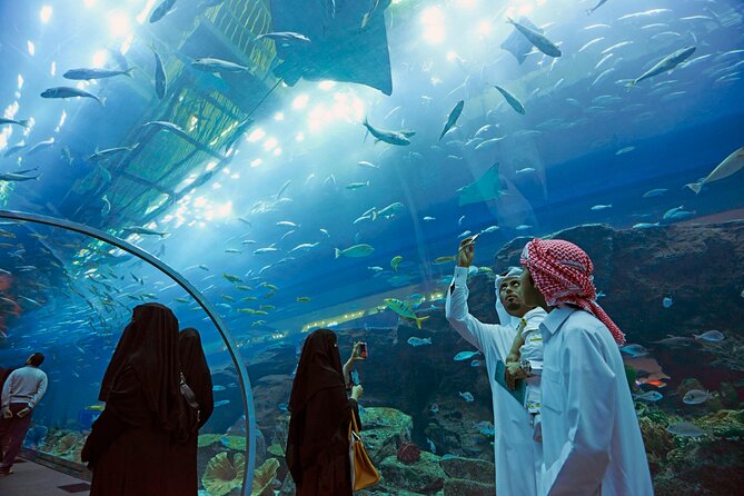 Dubai Aquarium & Underwater Zoo - Visiting the Aquarium