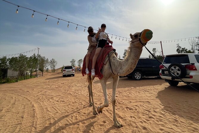 Dubai: Red Dunes, Sandsurf, Camel Ride, BBQ Dinner at Desert Camp - Cultural Entertainment at the Camp