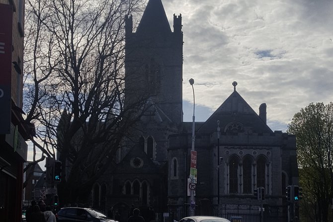 Dublin City Center Walking Tour - Accessibility