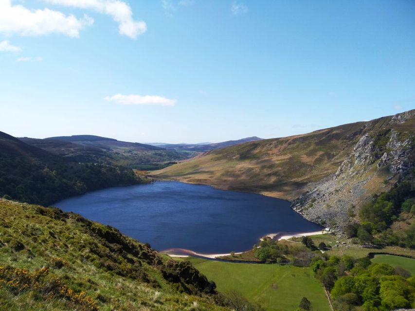 Dublin: Full-Day Wicklow Mountains Tour W/ Glendalough Visit - Experience and Activities