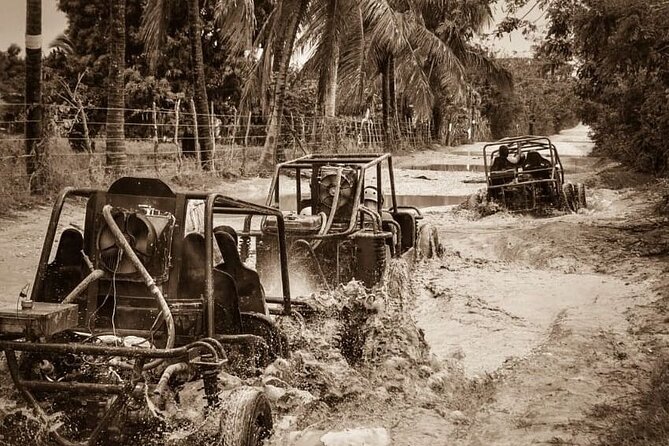 Dune Buggy Tour in Macao Beach - Ratings and Reviews