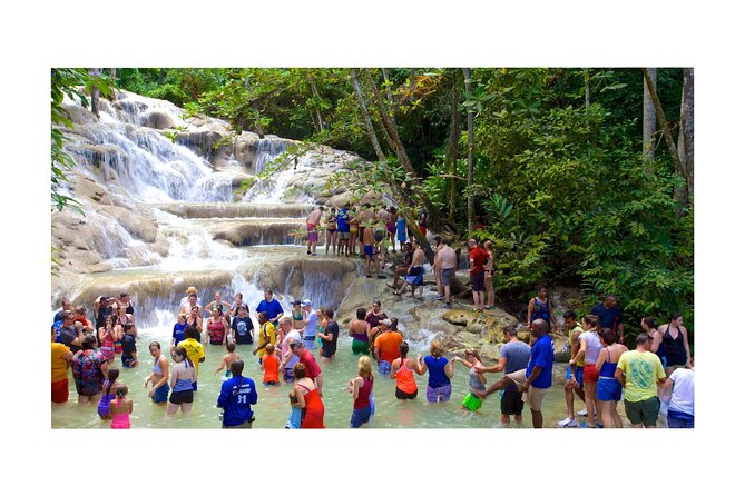 Dunns River Falls and Blue Hole Tour From Montego Bay. - Private Transportation