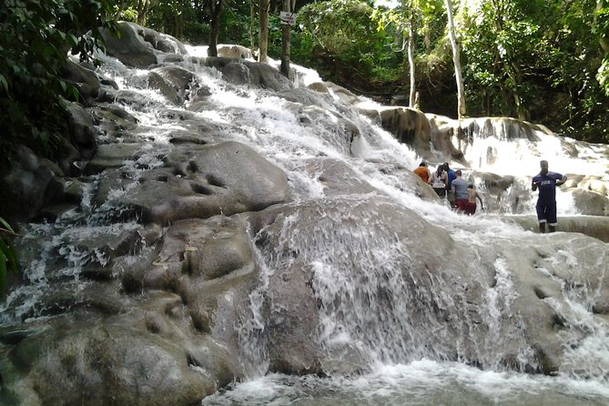 Dunns River Falls Excursion From Montego Bay - Accessibility and Physical Requirements