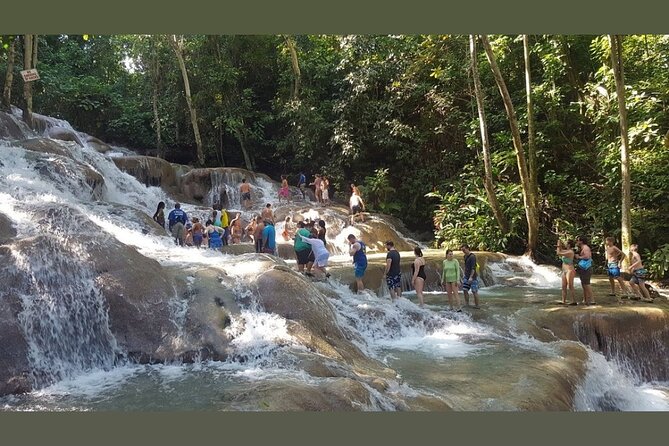 Dunns River Falls Private Day Tour - Accessibility