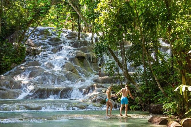 Dunns River Tour - Pricing and Cancellation Policy