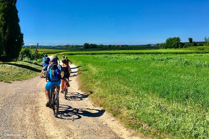 E-Bike Tour and Wine Tasting in Lazise - Discovering Hidden Vineyards and Olive Groves