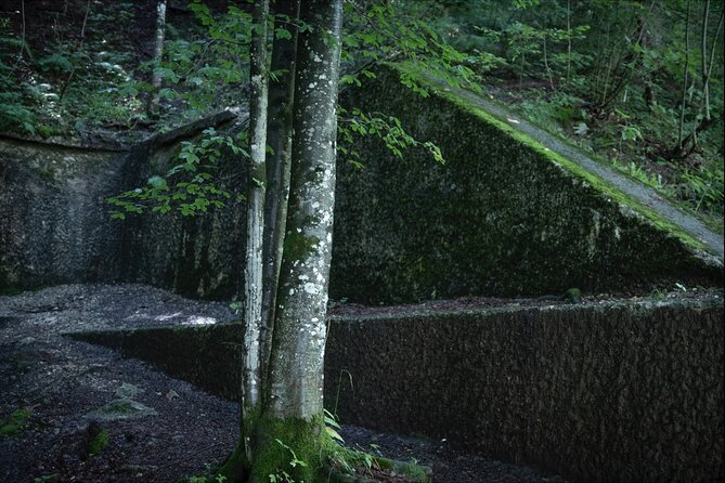 Eagles Nest-Berchtesgaden-Obersalzberg Private Half Day WWII Historical Tour - Cancellation Policy