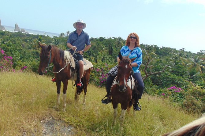 East Coast Horseback Riding & Waterfall Excursion - Refreshments and Snacks at Stable