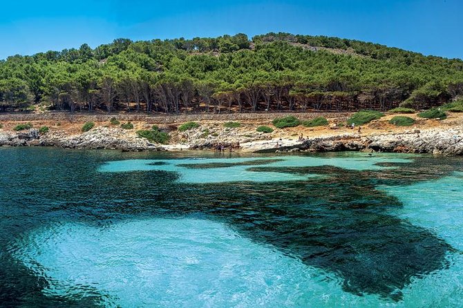 Egadi Sail Boat Tour to Favignana and Levanzo From Trapani - Swimming and Snorkeling in Levanzo