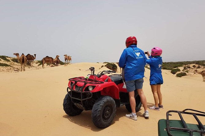 Essaouira: 2h/Quad+1h/Dromedary Ride Free Transfer - Safety and Equipment