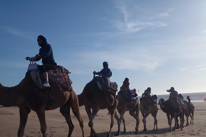 Essaouira: an Unforgettable 2 Hour Ride on a Camel - Scenic Route Along the Atlantic Coast