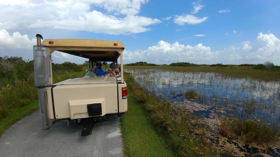 Everglades Airboat Ride & Tram Tour - Shark Valley Tram Tour