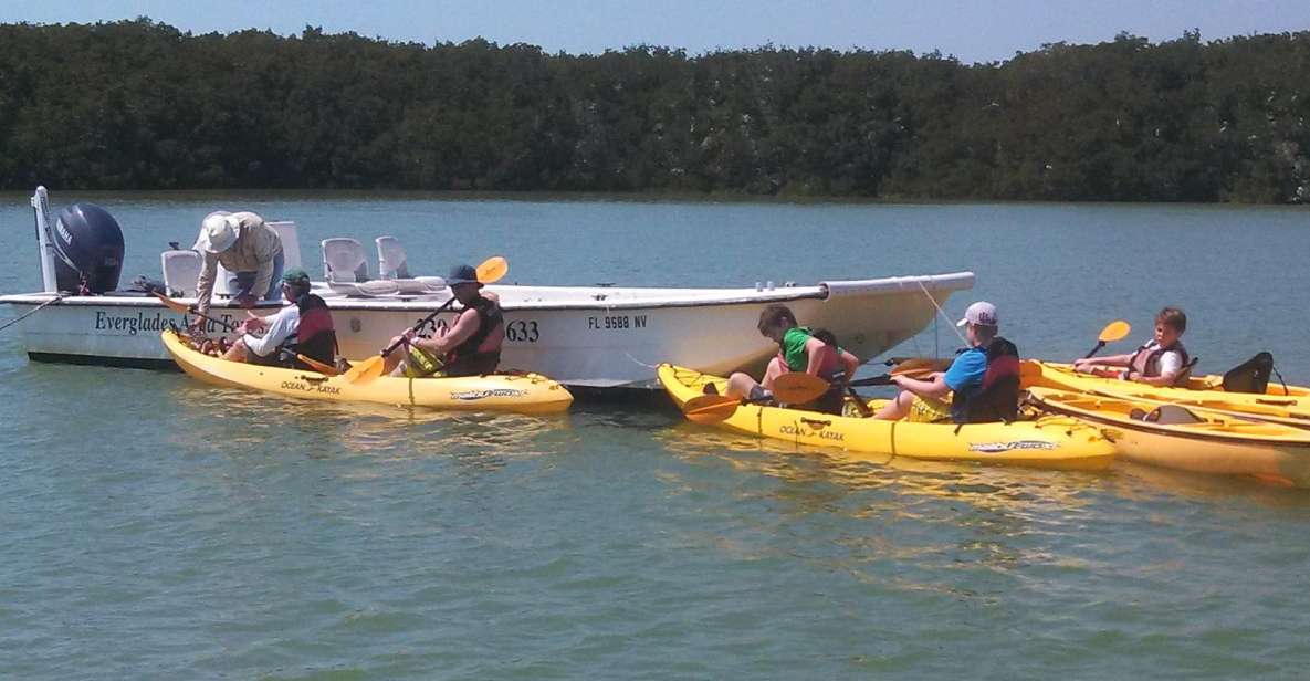 Everglades National Park: Boat Assisted Kayak Eco Tour - Wildlife Sightings