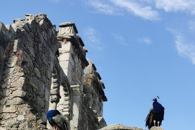 Évora Private Walking Tour, By Local Guide - Confirmation and Tour Cancellation