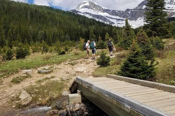 Exclusive Skoki Backcountry Guided Hiking in Lake Louise With Van Shuttle - Hiker Requirements