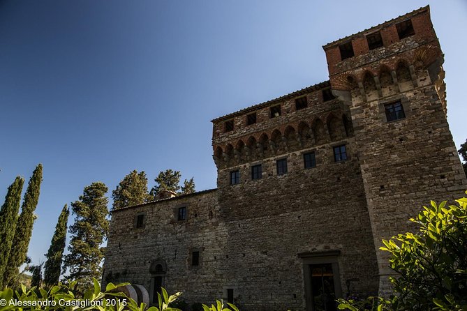 EXCLUSIVE - Wine Tasting Near Florence With Castle and Ancient Cellars Tour - Wine Tasting and Pairing