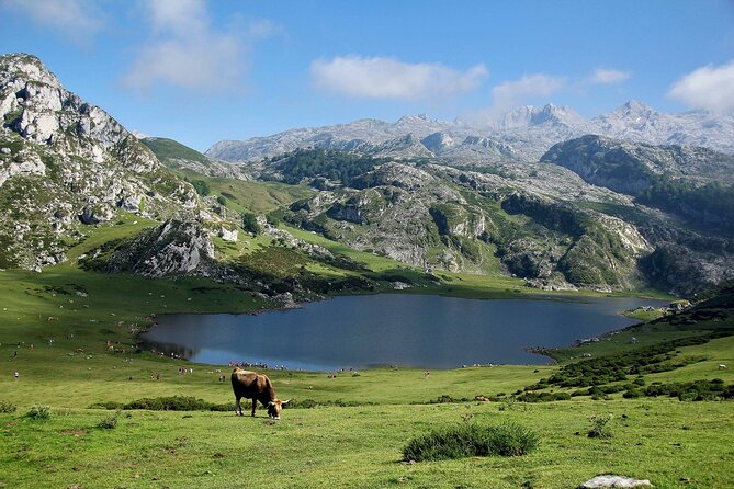 Excursion to the Lakes of Covadonga and Cangas De Onís From Oviedo - Accessibility