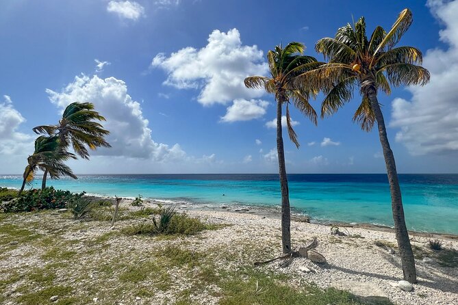 Explore Bonaire: North & South Tour - Cancellation Policy