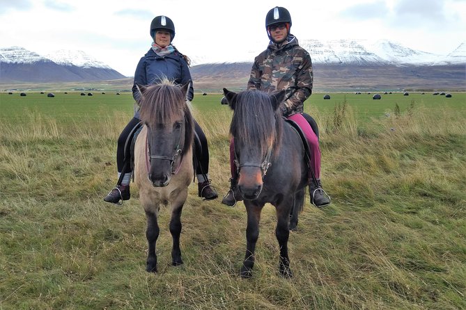 Family Friendly Horse Riding Tour in Skagafjörður - Meeting Point Directions