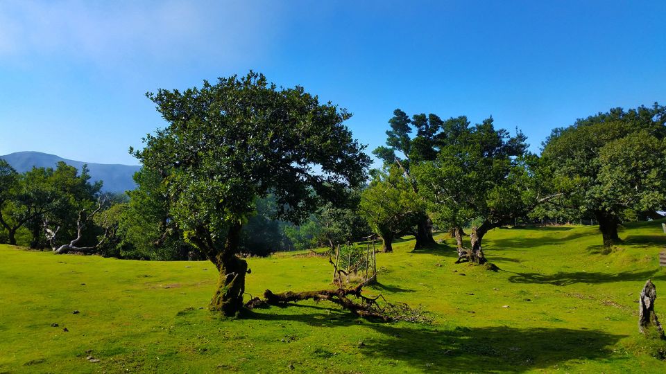 Fanal / Whistlers - Levada Walk - Duration and Difficulty