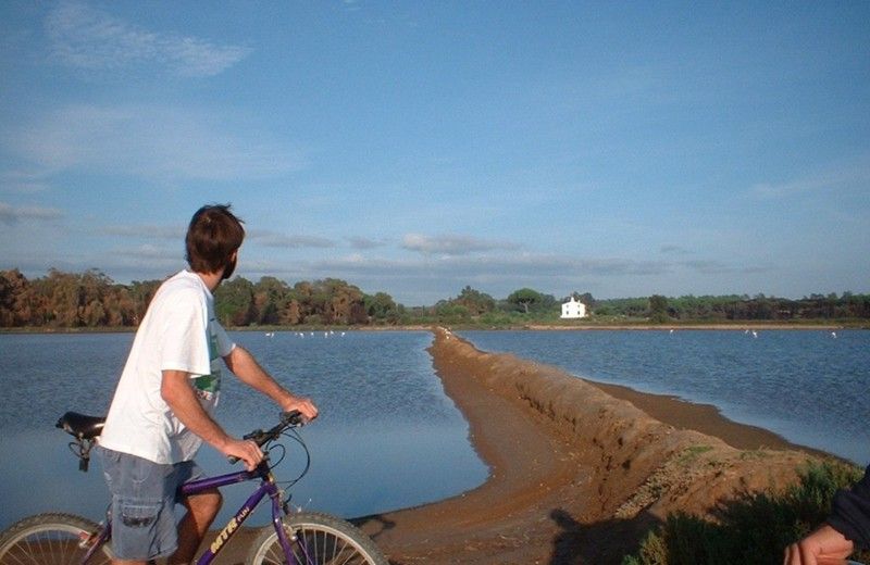 Faro Bike Tour Through the Beautiful Ria Formosa - Exploring Ria Formosa