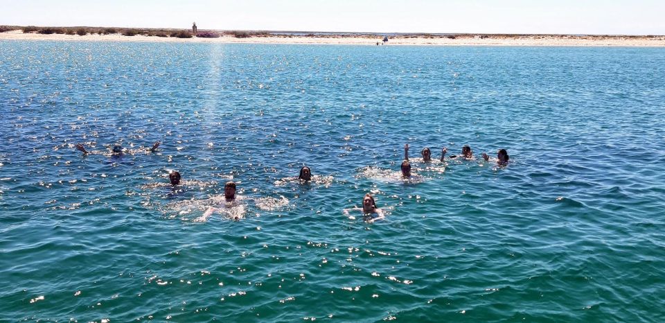 Faro: Come and Discover Ria Formosa With Us in Our Catamaran - Boat Transportation