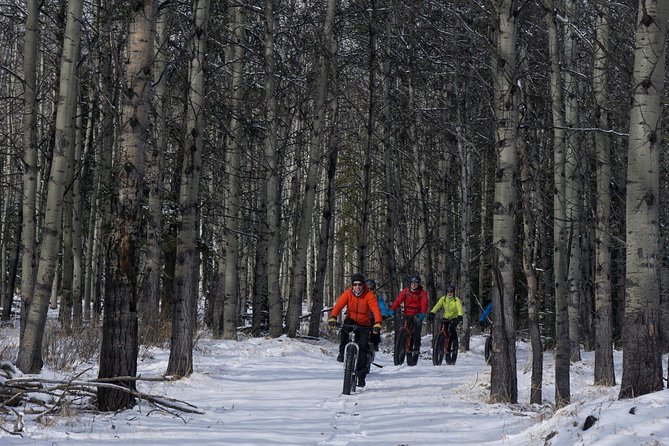 Fatbike Frozen Waterfall Tour - Fatbike Through Snowy Terrain