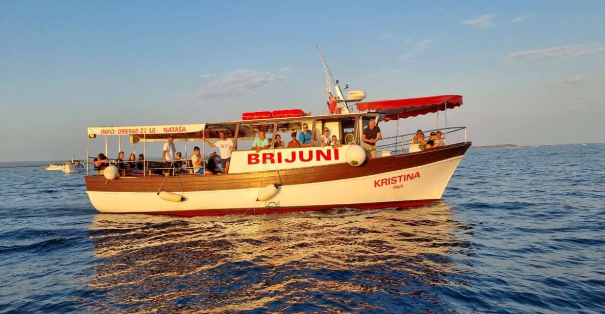 Fazana: Guided Dolphin Watching Sightseeing Cruise at Sunset - Onboard Experience