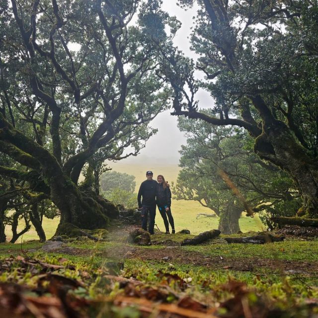 Final Tour by Overland Madeira - Fanal Forest Exploration