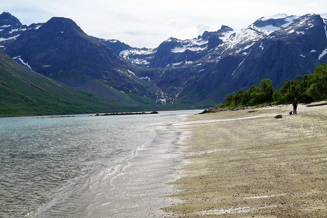 Fjord Sightseeing - Eco Friendly Tesla Model X - Discovering Unique Aurora Borealis Views