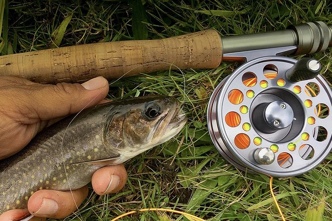 Fly Fishing Guided Experiences - Lessons for Beginners and Advanced Anglers