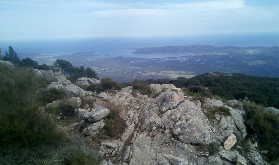 FOREST Hospital: Panoramic Summit With Sea and Lake View - Inclusion and Exclusion Details