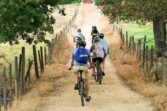 Franschhoek Winelands Luxury EBike Tour - Health and Safety