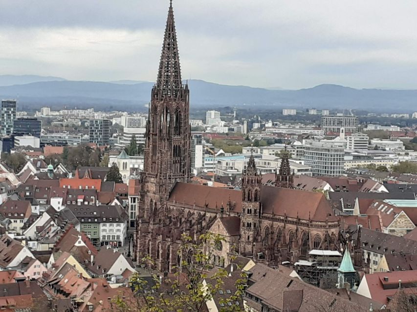 Freiburg: Walking and Strolling the Historic Center - Tour Highlights