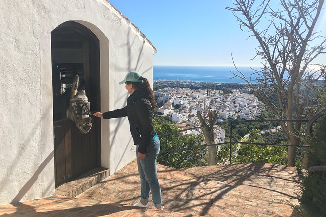 Frigiliana Small-Group Hike and Wine Tasting Tour From Malaga - Tour Duration and Group Size