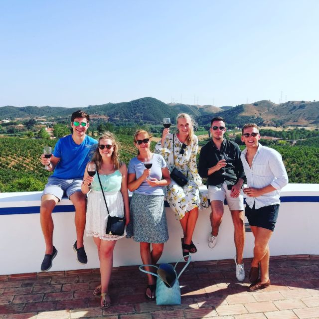 From Albufeira: Full-Day Wine Tasting Tour With a Guide - Pricing and Booking